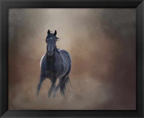 Framed Knighthawk - S Steens Wild Stallion Print