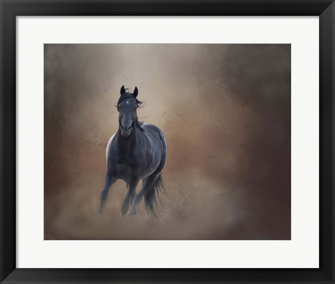 Framed Knighthawk - S Steens Wild Stallion Print