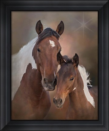 Framed S&#39;more &amp; Chippewa - S Steens Mustangs Print