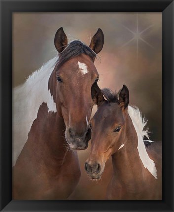 Framed S&#39;more &amp; Chippewa - S Steens Mustangs Print