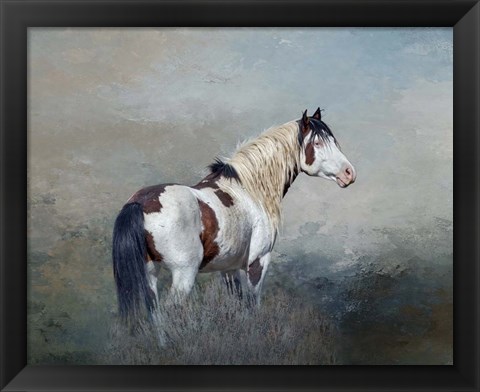 Framed Shaman - S Steens Wild Stallion Print