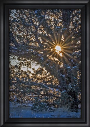 Framed New Years Steens Mountain Sunrise Print