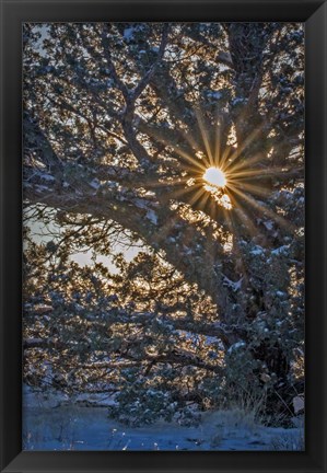 Framed New Years Steens Mountain Sunrise Print