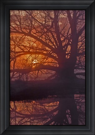 Framed Foggy Sunrise Print
