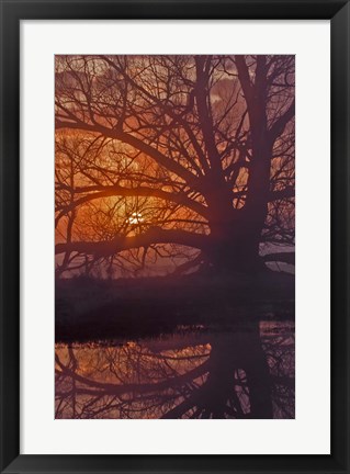 Framed Foggy Sunrise Print