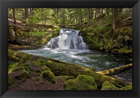 Framed Whitehorse Falls Print