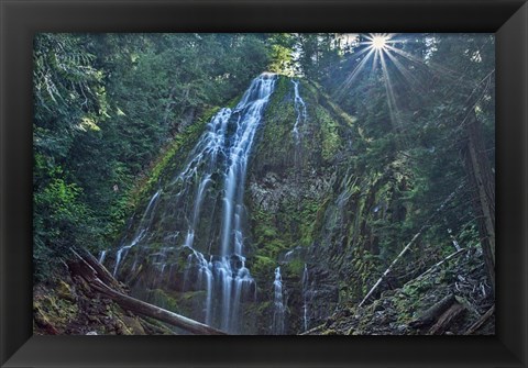 Framed Lower Proxy Falls Print