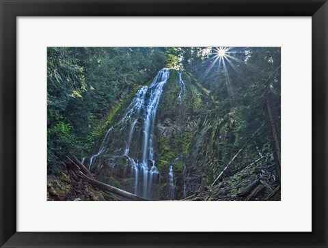 Framed Lower Proxy Falls Print