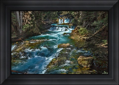 Framed McKensie River Print