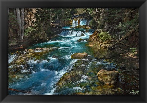 Framed McKensie River Print