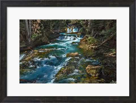 Framed McKensie River Print