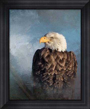Framed Bald Eagle Print