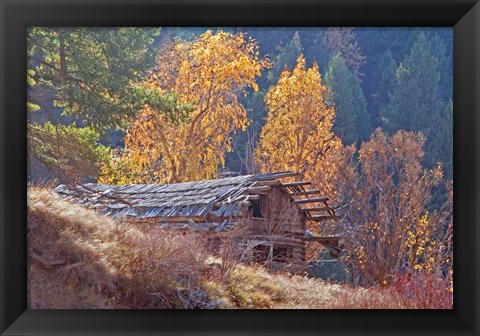 Framed North Fork Cabin Print