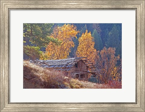 Framed North Fork Cabin Print