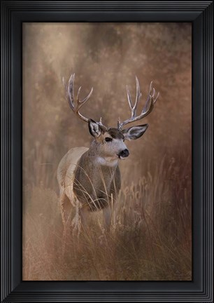 Framed Muley - Malheur Print
