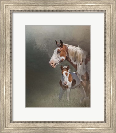 Framed Chinook &amp; Her Foal Print