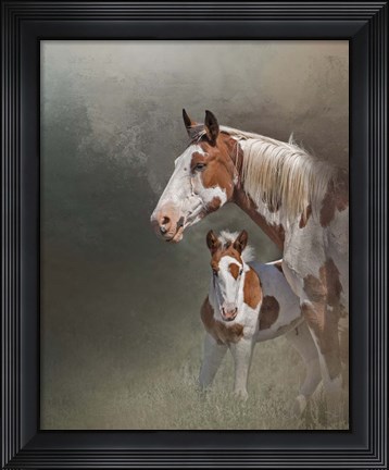 Framed Chinook &amp; Her Foal Print