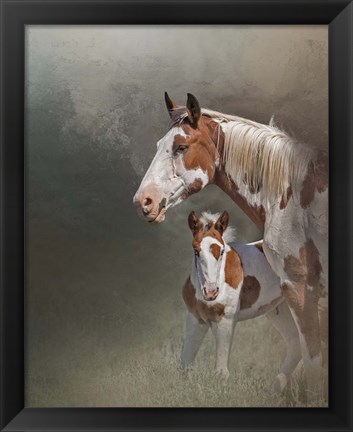 Framed Chinook &amp; Her Foal Print