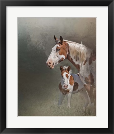 Framed Chinook &amp; Her Foal Print