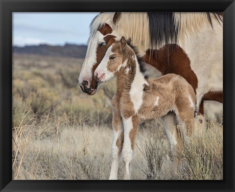 Framed Lady Braveheart &amp; Filly Print