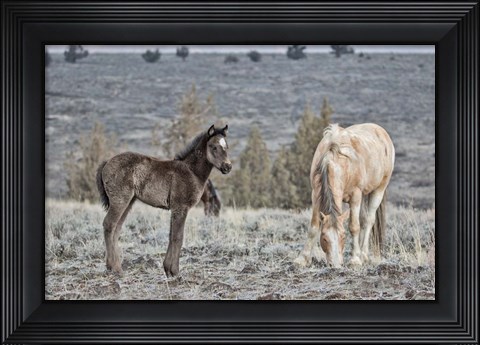 Framed Precious and Dad (Casper) Print