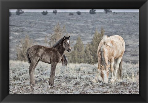 Framed Precious and Dad (Casper) Print