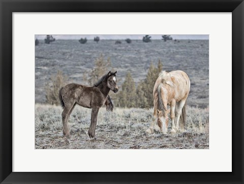 Framed Precious and Dad (Casper) Print