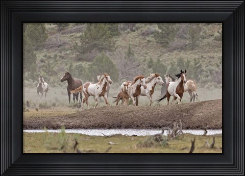 Framed Ditto-Galileo Band Print