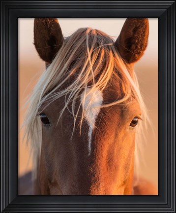 Framed Curious Print
