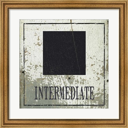 Framed Intermediate Square Print