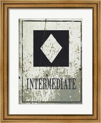 Framed Intermediate Print