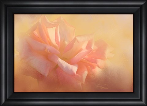 Framed Light is Life Print