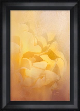 Framed Showers of Light Print