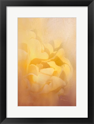 Framed Showers of Light Print