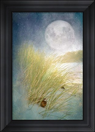 Framed Moonlight Beach Print