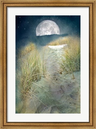 Framed Moonlight Path Print