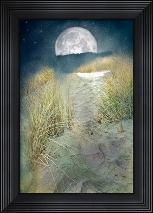 Framed Moonlight Path Print