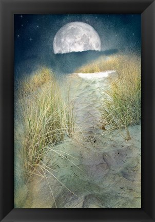 Framed Moonlight Path Print