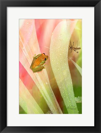 Framed Got My Eye On You Print