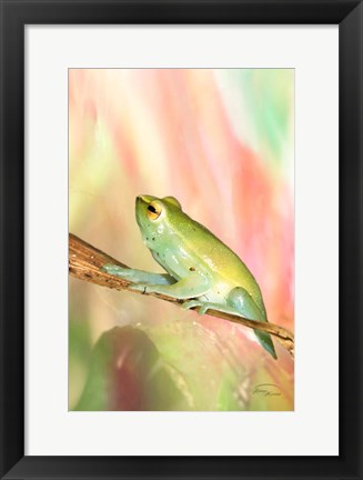 Framed Basking in Light Print