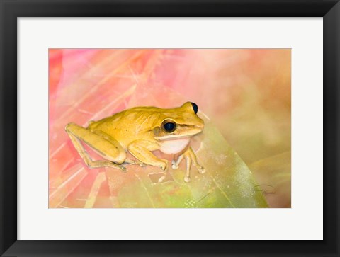 Framed Waiting for Lunch Print