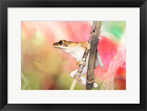 Framed Hangin Around Print