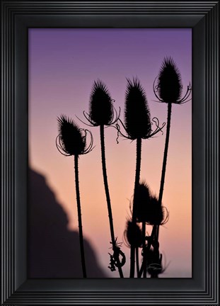 Framed Silhouette Print