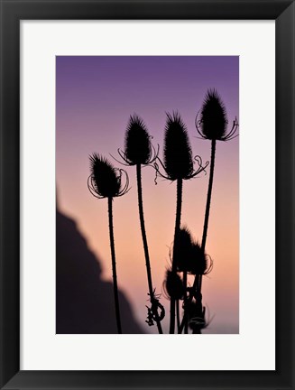 Framed Silhouette Print