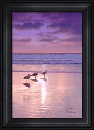 Framed Seagull Beach II Print