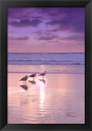 Framed Seagull Beach II Print