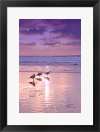 Framed Seagull Beach II Print