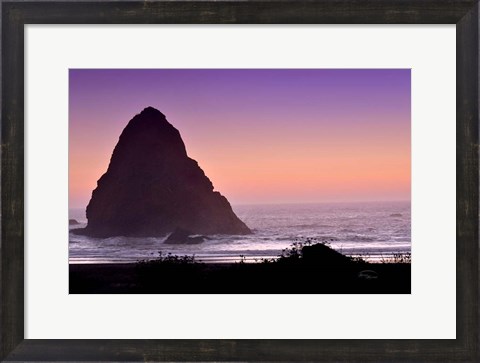 Framed Whaleshead Beach II Print