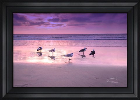 Framed Seagull Beach I Print