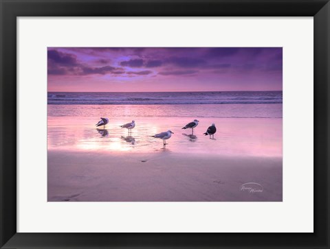 Framed Seagull Beach I Print